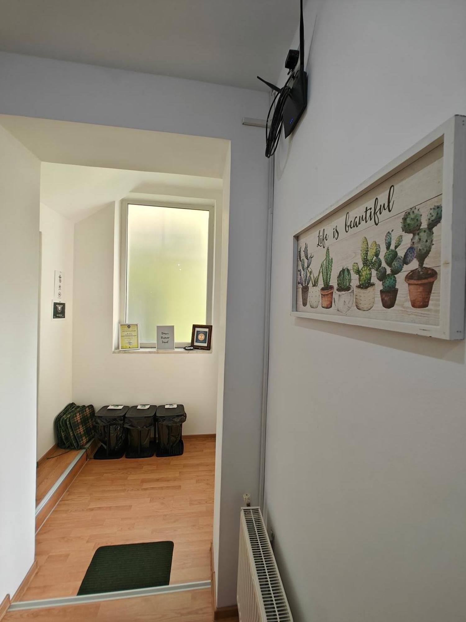 Transsylvanian Wolves Apartment Sibiu Dış mekan fotoğraf