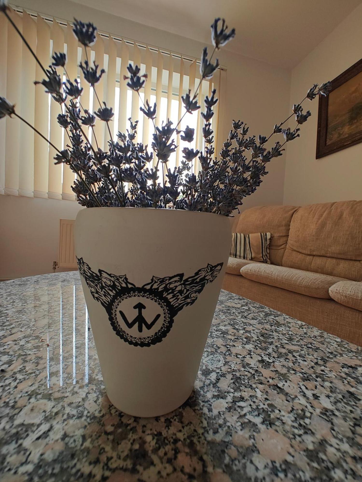 Transsylvanian Wolves Apartment Sibiu Dış mekan fotoğraf