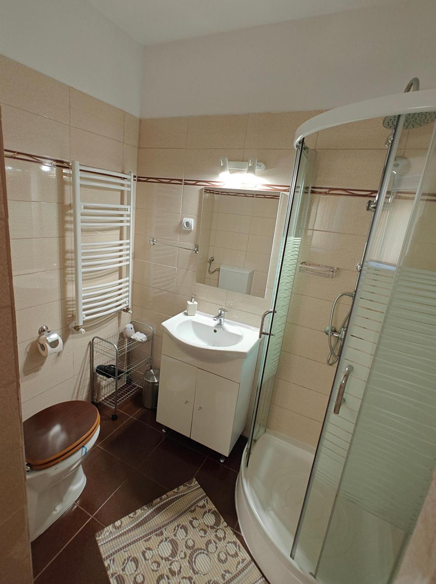Transsylvanian Wolves Apartment Sibiu Dış mekan fotoğraf